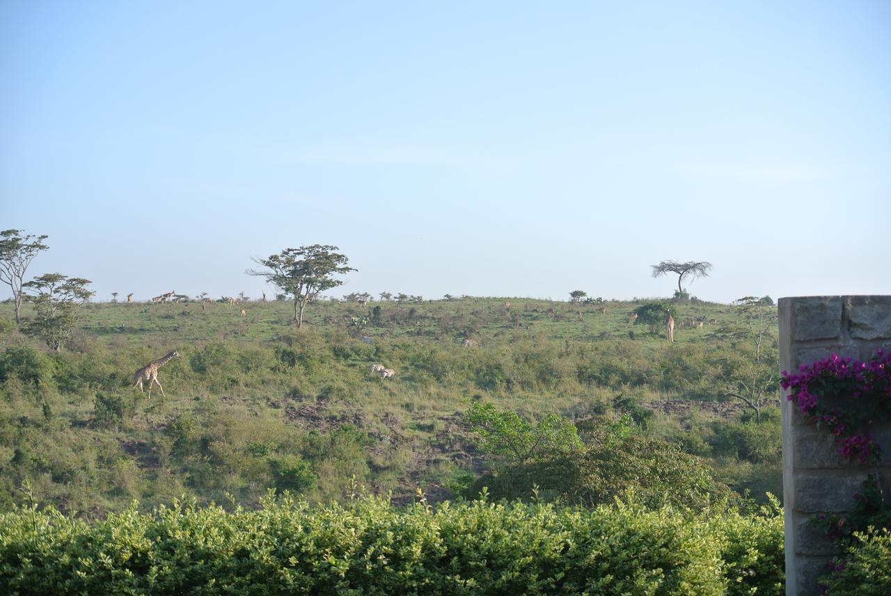 Nyati Hill Cottages Nairobi Exteriör bild