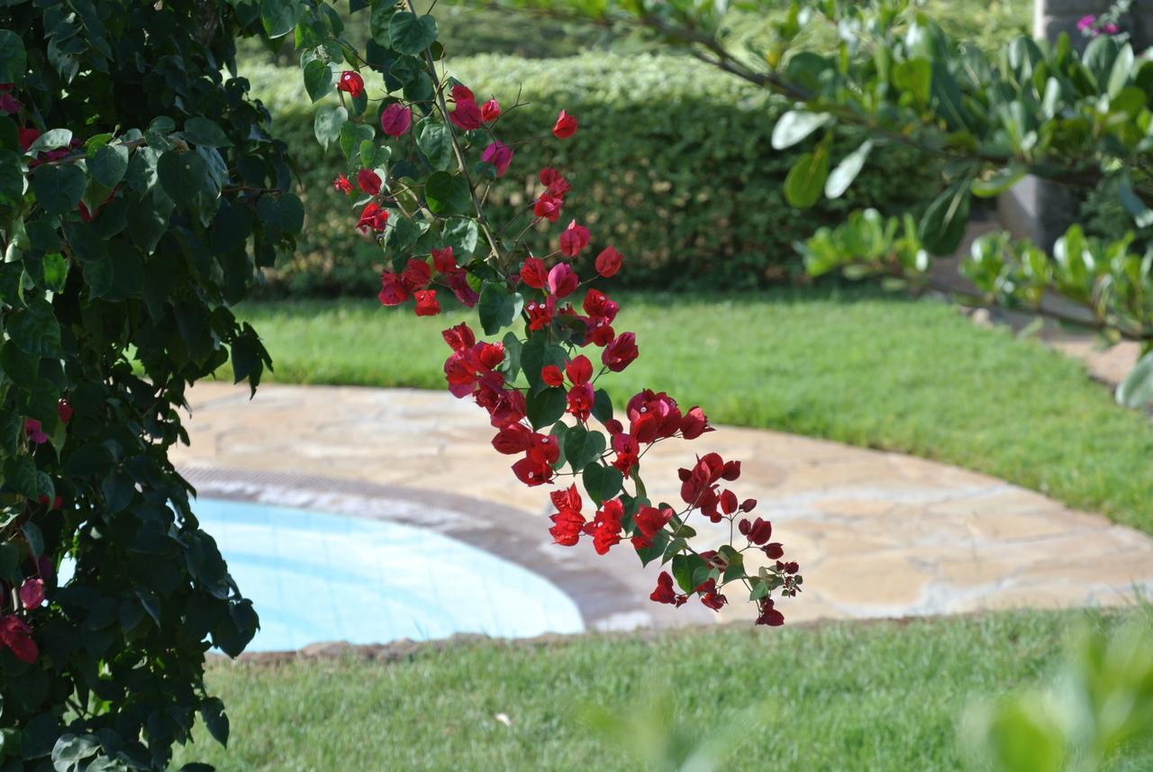 Nyati Hill Cottages Nairobi Exteriör bild